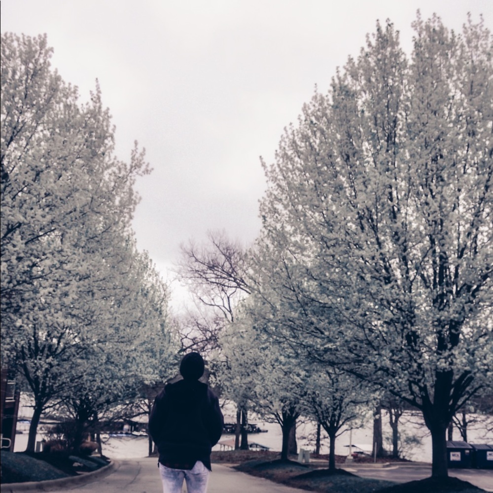 Meet your Posher, Rachel